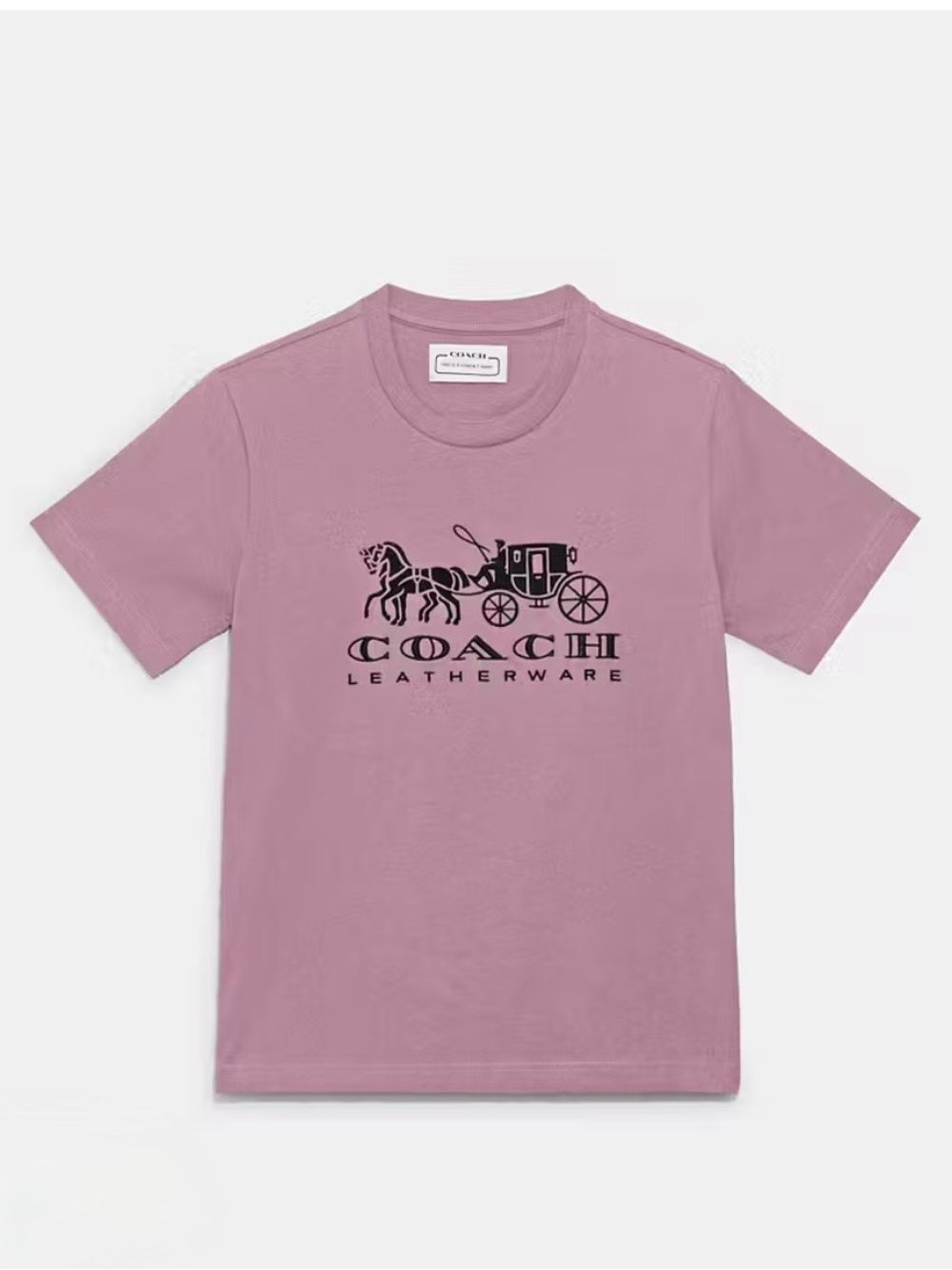 Coach Purple Logo Crop T-Shirt